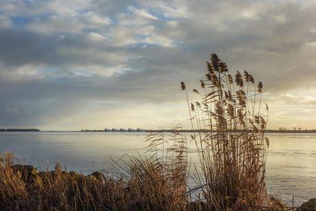 Dichtgevroren Gooimeer 2011