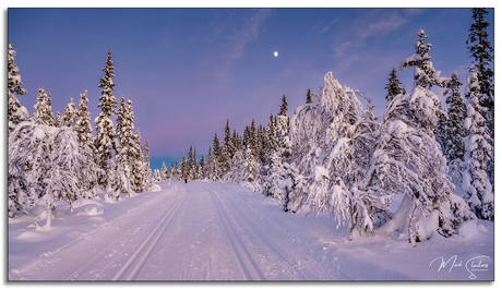Blue hour over de loipe