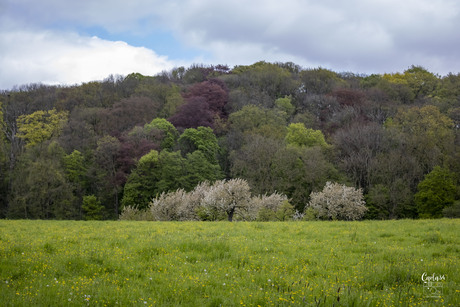 Landschap