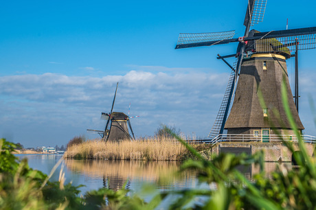 Mooi kinderdijk