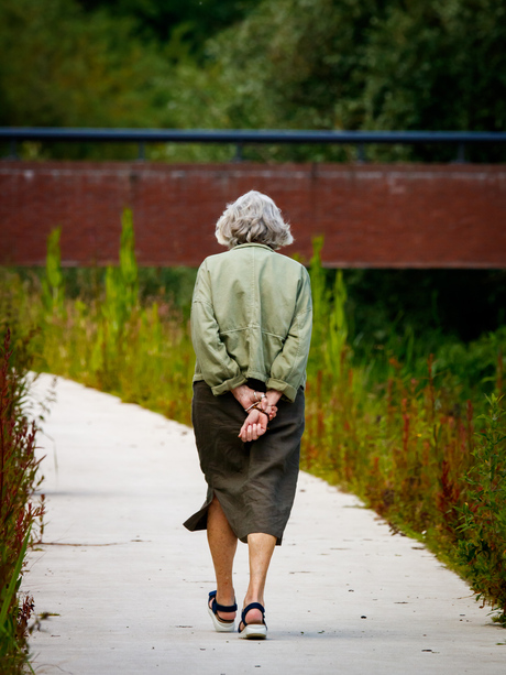 Dagelijkse wandeling