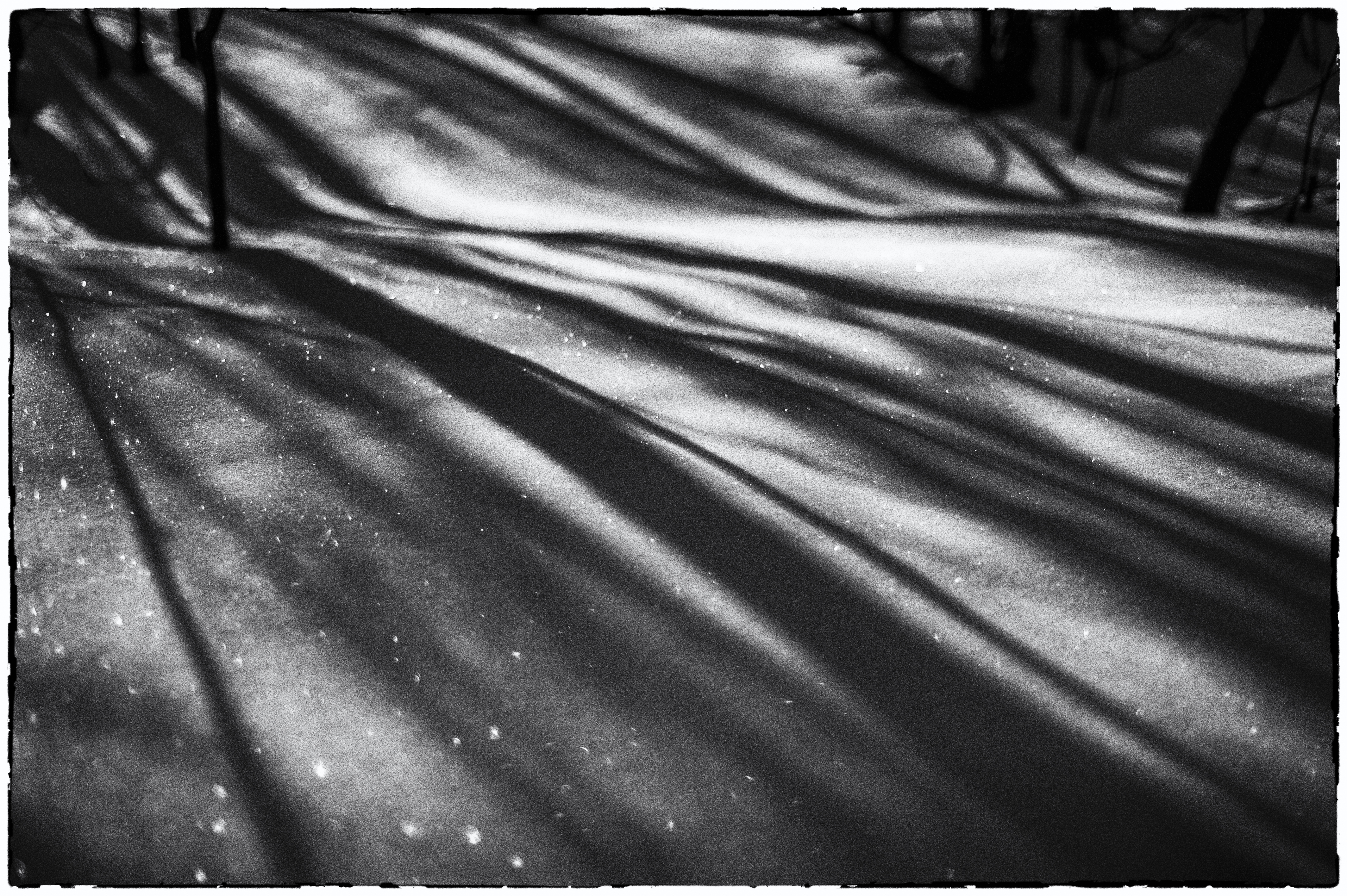 schaduwen in de sneeuw - Schaduwen van bomen in de sneeuw - foto door JoVel op 17-05-2021 - locatie: Best, Nederland - deze foto bevat: sneeuw, schaduw, bomen, zwart, wimper, rechthoek, lijn, autoband, hout, tinten en schakeringen, water, patroon, lettertype