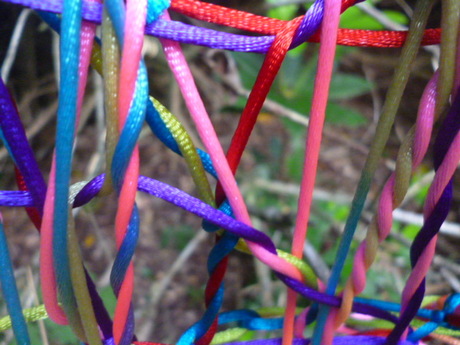 Gewoon een paar kleurige draadjes in de struik in mijn tuin.