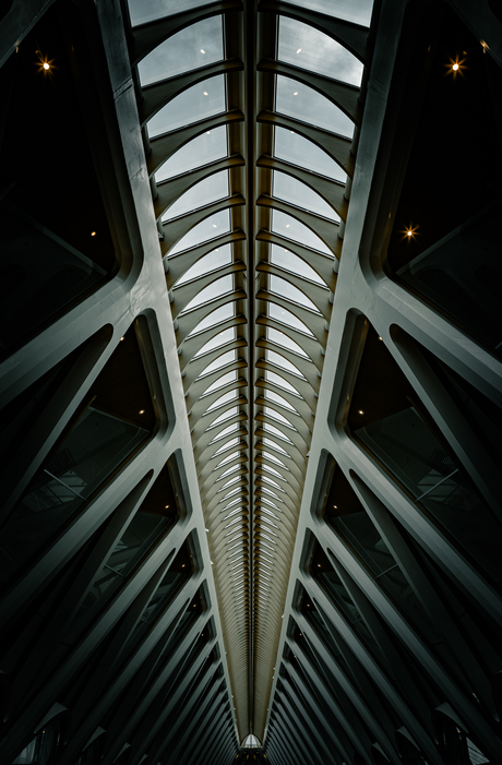 Endless roof