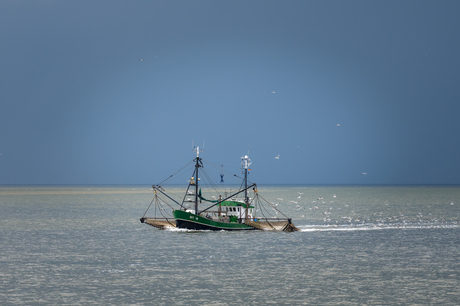 Duitse garnalenkotter DIT 18