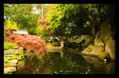 Japanse tuin