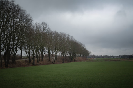 landschap in de peel