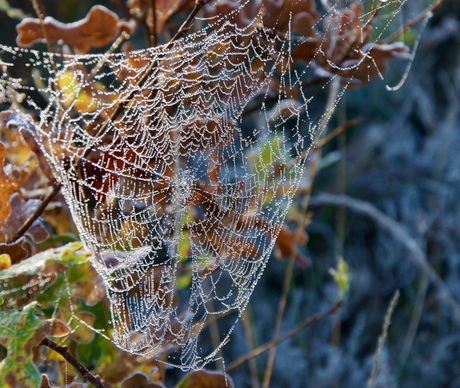 Herfst Ermelo