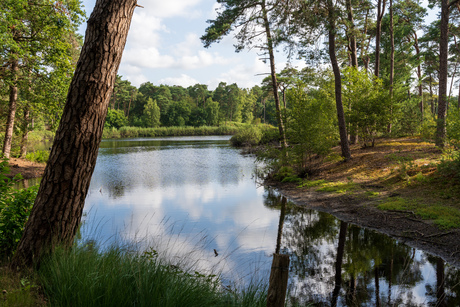 Doorkijkje