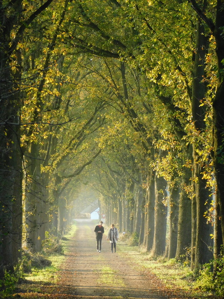 Wandelen over de Riekweg.