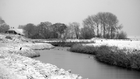 Ochtendwandeling..................