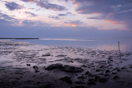 Stilte op het wad