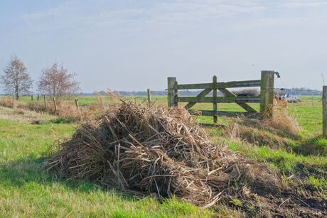 Voorjaars schoonmaak
