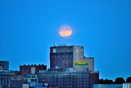Wereldhavendagen 2025 Rotterdam