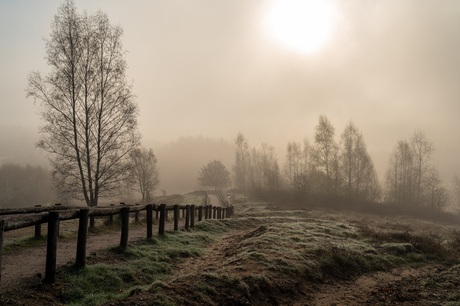 Misty mornings