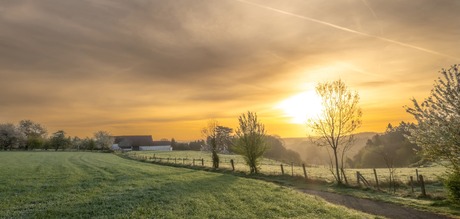 Zonsopkomst nabij Hallerbos