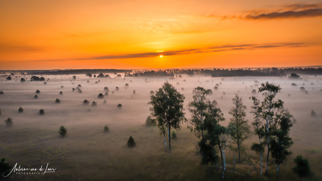 Strabrechtse Heide