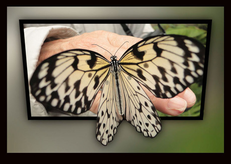 "mag ik binnenkomen"........................