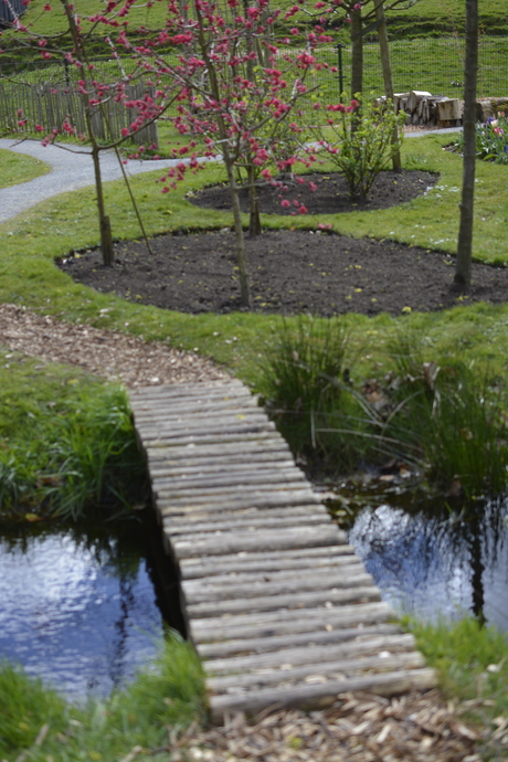 Asserbos, Assen, Nederland