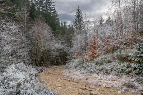 Winter Ardennen