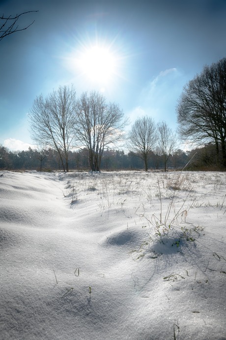 Sereen winterlandschap