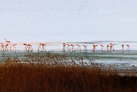 Lake Yarisly Burdur Turkije