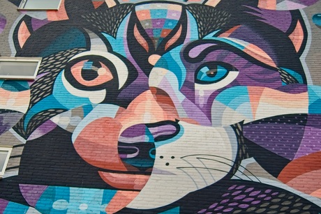 Mural - muurschildering kat - Eelco van den Berg