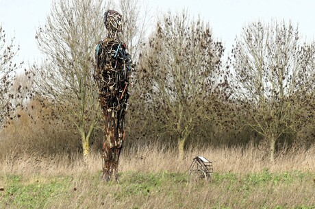 P1300296   De Lier  Het Kraaiennest   Grutto plas , IK ben er nog  Jos  6 mrt 2026  