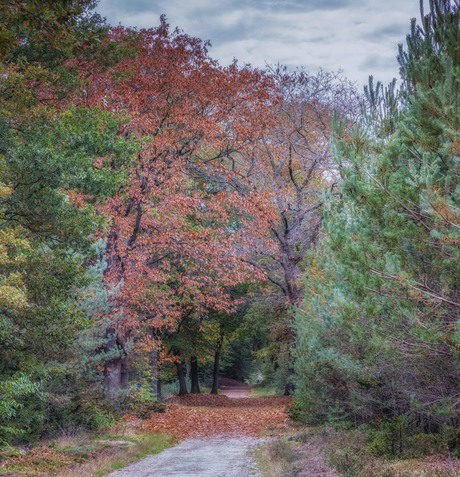 Het begin van de herfst