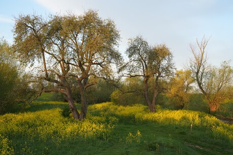 Werk aan de Groeneweg 