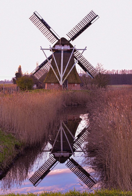 Dubbel zo mooi