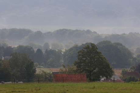 Zomerse ochtend in de Belgische Ardennen