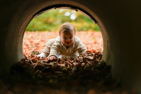 genieten van de herfst