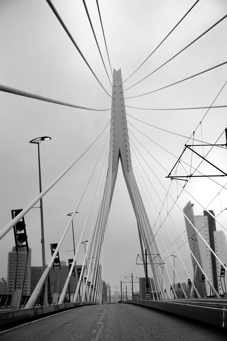 Erasmusbrug Rotterdam