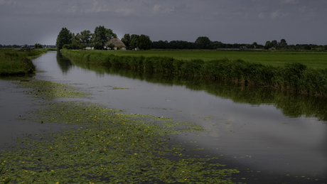 Landschap