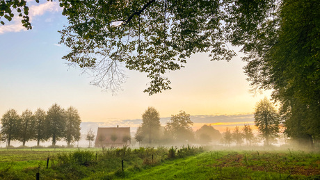 Ochtend