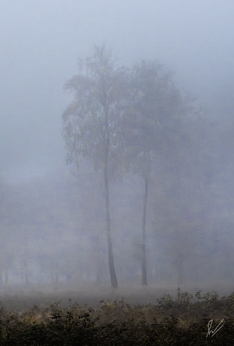 Mist in Odoorn