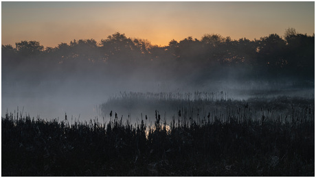 Zonsopkomst in Fries Drents Wold
