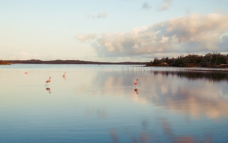 Serene ochtend