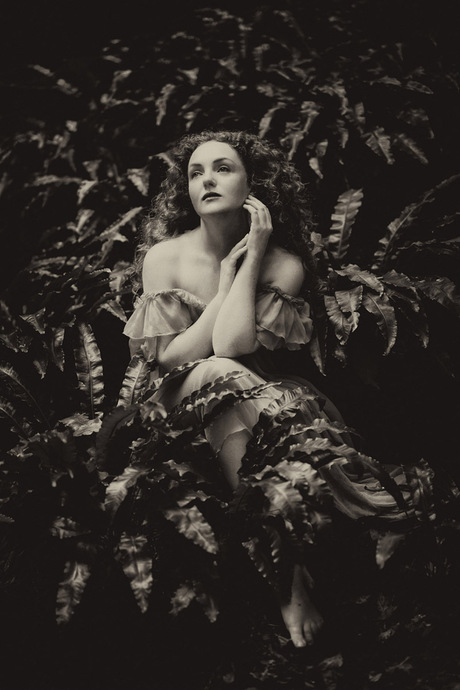 Between Ferns