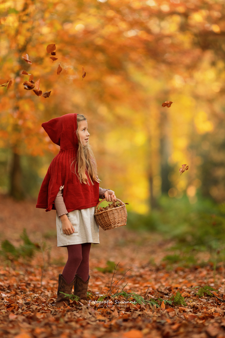 Tussen het gouden licht en de vallende bladeren