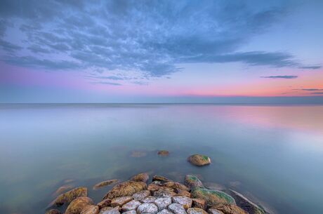 Purple haze