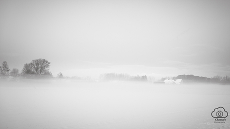 landschap in de mist en sneeuw