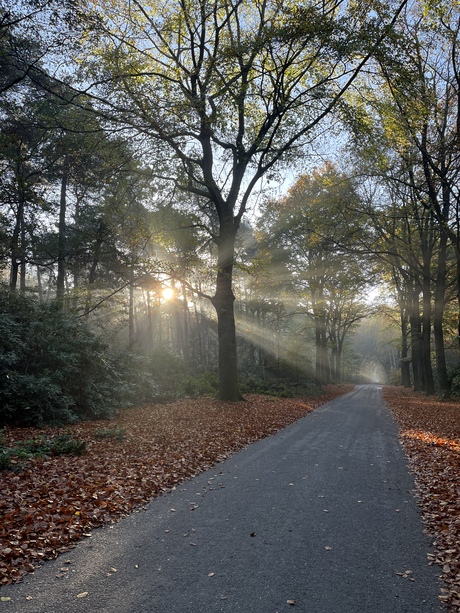 Ochtendwandeling 