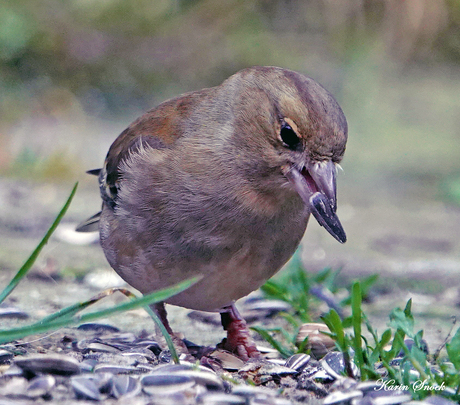"Effe wat te snoepen pakken..."