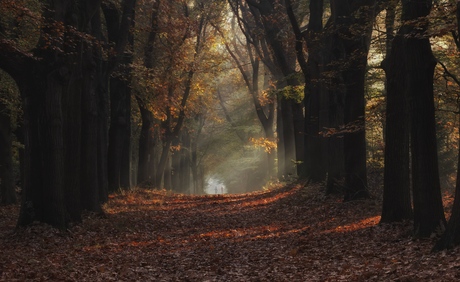 Herfst