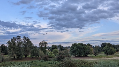 Tiel.. rust maar op het water niet
