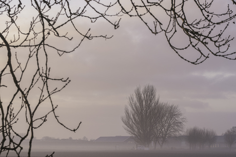 mistig doorkijkje