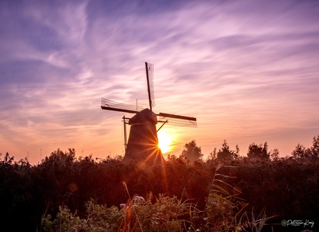 Kinderdijk