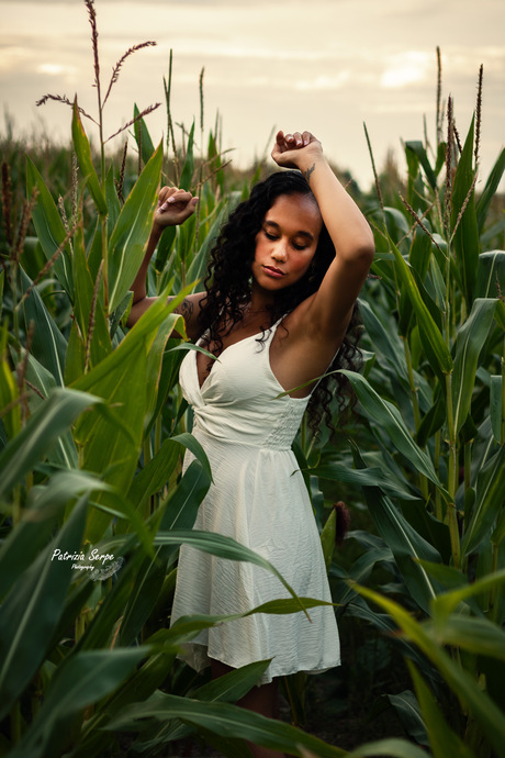 Cornfield Photoshoot